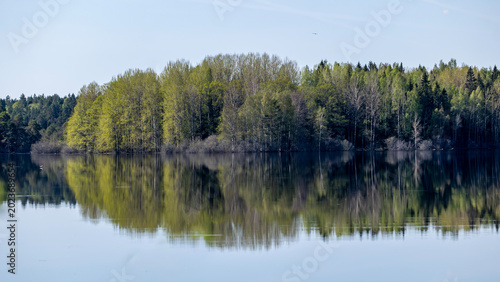 Sunrise lake in spring! Farnebofjarden national park in north of Sweden