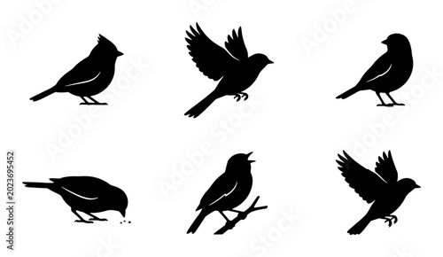Bild auf Leinwand Vector Silhouettes of Six Diverse Birds in Flight and Perched, Black and White A
