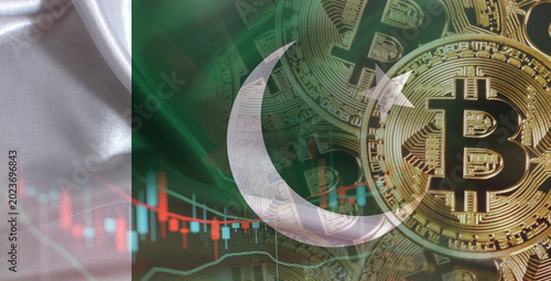 Tableau sur toile Bitcoin cryptocurrency with Pakistan flag, Investors in Blockchain Technology