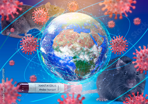 Hantavirus. Andes variant. World infected by Hantavirus with the Andes variant
