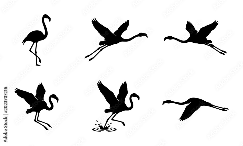 Fototapeta premium Flamingo Silhouette Set: Standing, Landing, and Flying Vector Icons for Tropical Wildlife and Nature Designs