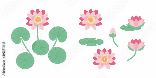 Fotografía decorative pink lotus flowers with lily pads