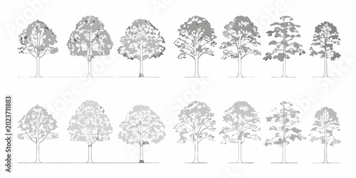 Tableau sur toile set of deciduous tree silhouettes on white background