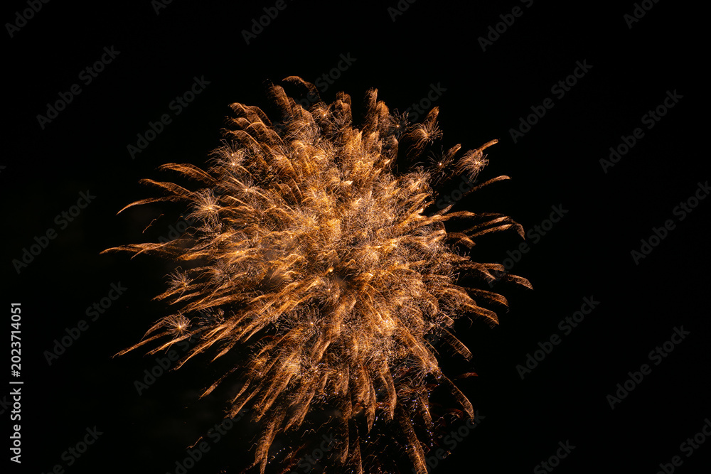 Fototapeta premium fireworks in the night sky