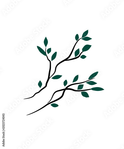 Twig branch on a white background. Herbarium, ecology, natural.