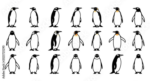 Collection of various penguin illustrations in different poses and styles on white background