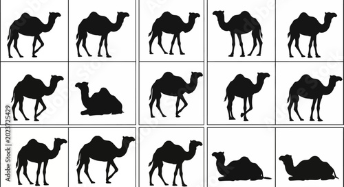 Tableau sur toile Collection of camel silhouettes in various poses and positions on white backgrou