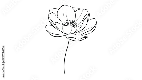 Schilderij op canvas Line art single flower with black and white, backgroun