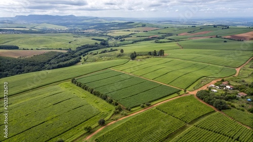 Aerial view from flying drone of farmland in south Africa, green fields.

