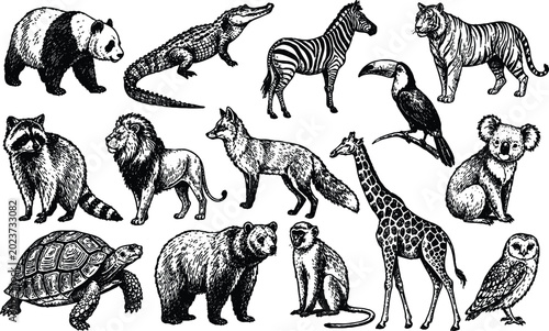 Photography Vector illustration of a wild animals collection and farm mammal silhouettes inc