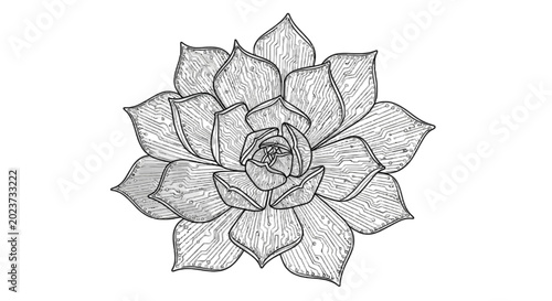 Canvas-taulu Circuit board lotus flower detailed metallic illustration on black background