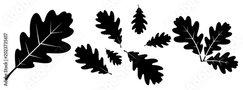 Cuadro en lienzo Oak leaves set in minimalist black silhouette vector style