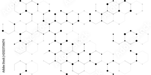 Detailed white abstract hexagon network background with black connecting nodes. This geometric molecular structure creates a modern scientific vector template.