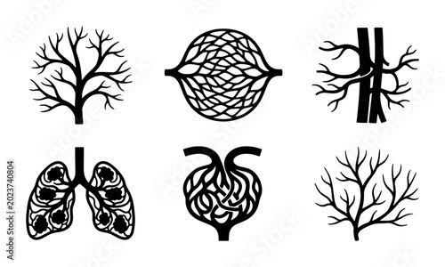 Foto Medical Vascular System Icons: Arteries, Veins, Capillaries, Lungs, Kidneys, Blo