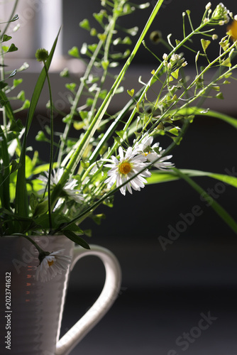 Cozy Spring at Home Still Life with Fresh Wildflowers and Renewal