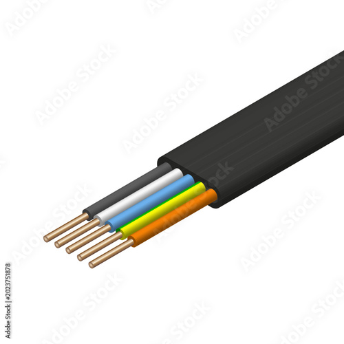 Isometric vector illustration of a five-core electrical cable with colored insulated wires and exposed copper conductors in a black outer sheath.