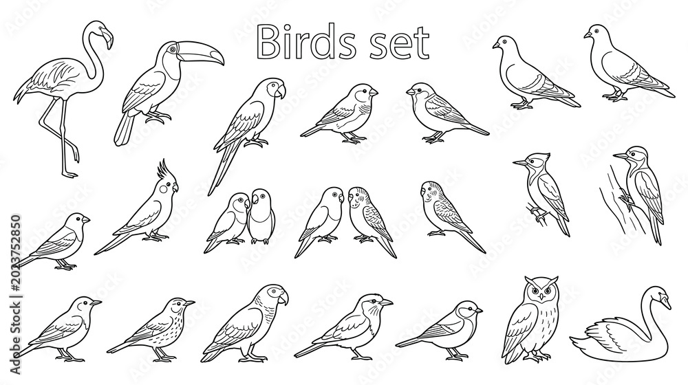 Fototapeta premium Set of line art birds illustrated for coloring book activity pages.