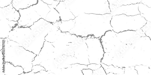 Bild auf Leinwand White and black rough, scratch, splatter grunge pattern design brush strokes