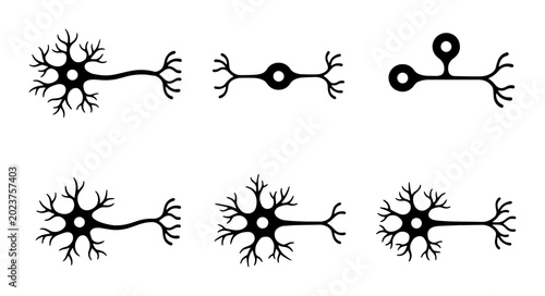 Photos Neuron Icons Set, Brain Cell Vector Graphics, Neural Network Symbols, Medical Sc