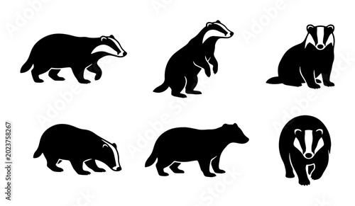 Canvastavla Set of Six Black Badger Silhouettes, Wildlife Animal Icons, Vector Graphics for
