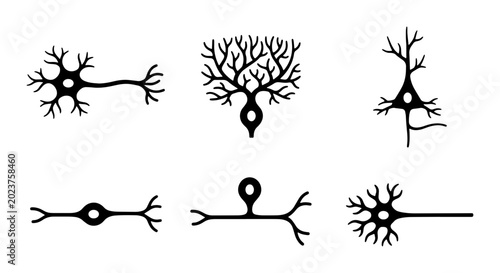 Foto Diverse Neuron Cell Illustrations, Neural Network Elements, Brain Science Icons,