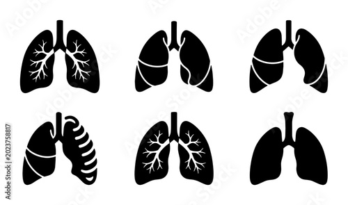 Cuadro en lienzo Set of six black lung icons, medical illustration, respiratory system anatomy, h