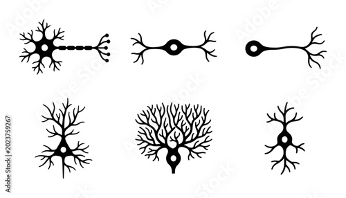 Tableau sur toile Neuron Cell Icons Set, Biological Brain Nerve System, Medical Science Vector Gra