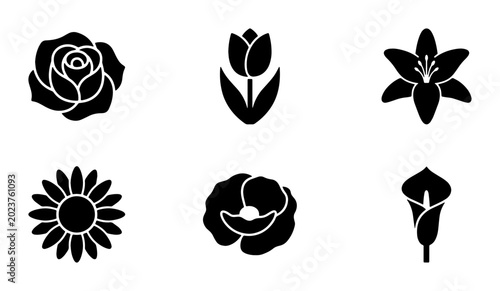 Foto Elegant Floral Icons Set: Rose, Tulip, Lily, Daisy, Poppy, Calla Lily Vector Gra