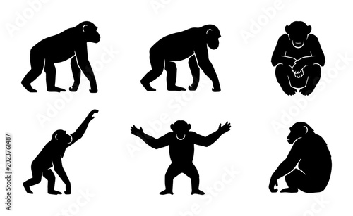 Canvas Print Chimpanzee Silhouettes Set: Primate Poses, Ape Icons, Wildlife Vector Graphics f