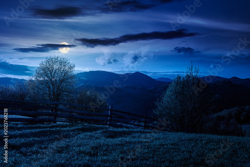 Fényképezés mountainous rural landscape in spring at night