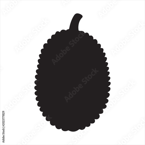 Jackfruit  Vector 