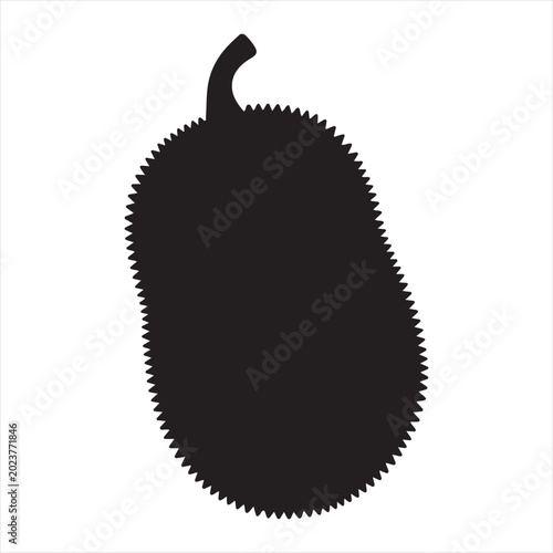 Jackfruit  Vector 