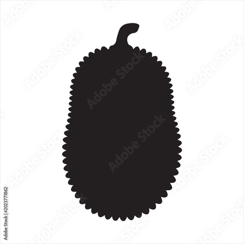 Jackfruit  Vector 
