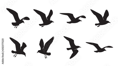 set of silhouettes of birds