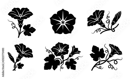 Bild auf Leinwand Elegant Black Morning Glory Floral Silhouettes, Decorative Flower Vector Element
