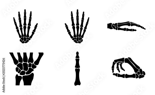 Bild auf Leinwand Skeleton Hand Anatomy Vector Icons, Human Bone Structure Set, Medical Science Gr