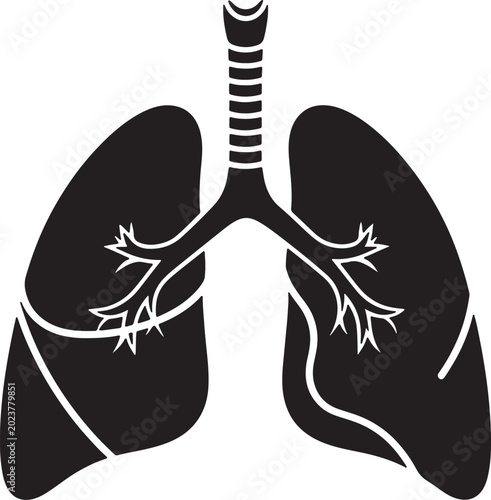 Foto Black and white of human lungs with bronchial tree branches also transparent bac