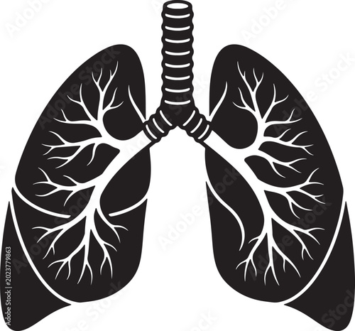 Tableau sur toile Black and white of human lungs with detailed bronchial tree also transparent bac