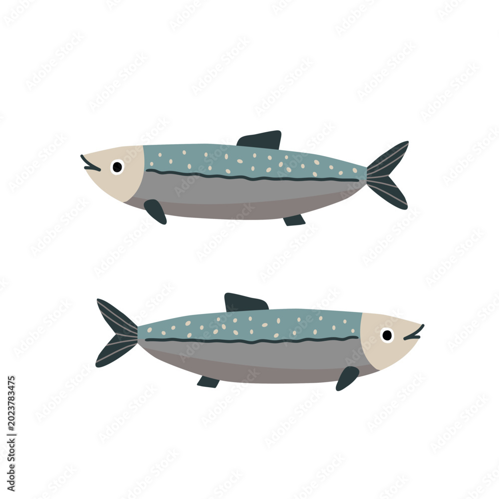 Fototapeta premium Two swimming sardine fish on a white background. Cute cartoon animal character for children's design. Flat vector illustration.