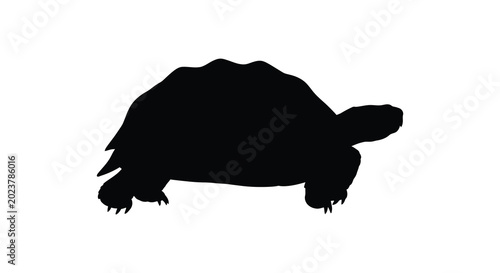 Tableau sur toile Turtle silhouette on a white background