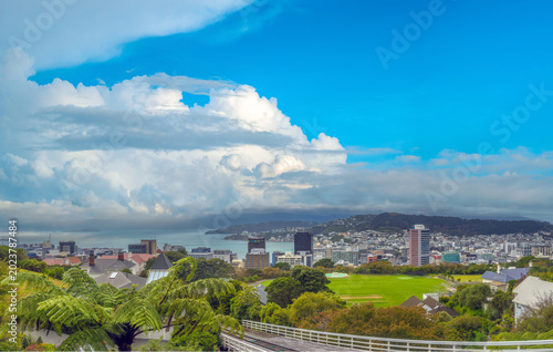 Obraz na plátně Panoramic view of the capital city of Wellington, New Zealand, from the Botanic