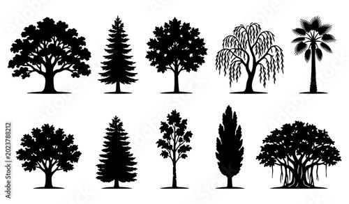 Tableau sur toile Black tree silhouette set with ten natural forest tree shapes vector illustratio