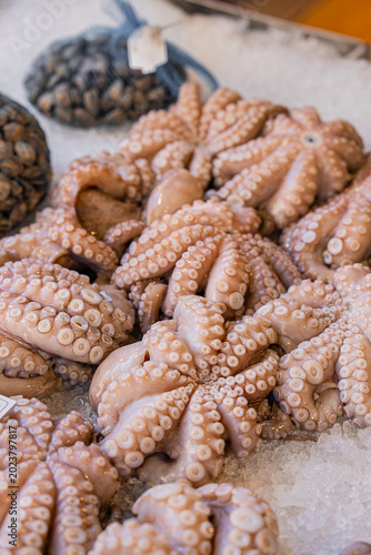 Εκτύπωση καμβά Raw Octopus Tentacles, Natural Seafood Texture at Fish Market
