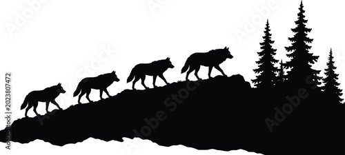 Fotografi Wolf pack silhouette with pine trees against white background