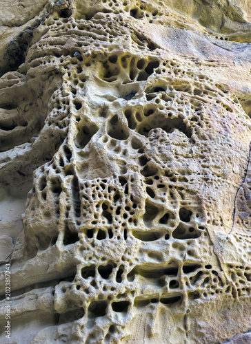 Weathering patterns on sandstone, Cheese Cave, Mara River Valley, Dombay, Karachay-Cherkessia