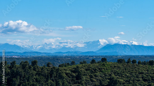 Tableau sur toile chaîne du massif du Mercantour enneigé avec nuages et arbres verts en premier pl