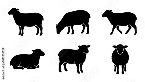 Foto Sheep Vector Silhouettes Collection: Farm Animals, Livestock, Rural Icons, Agric