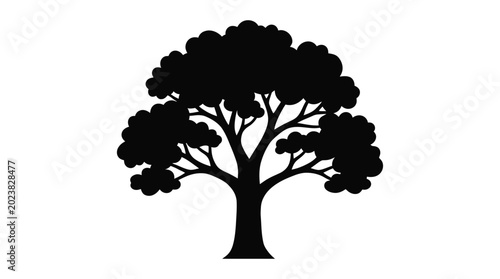 Tableau sur toile Black silhouette of a deciduous tree with full foliage on white background