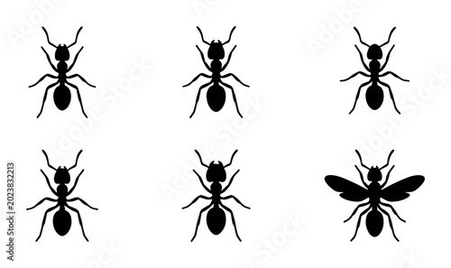 Fotografía Black Ant Icons, Insect Vector Graphics, Small Bug Illustrations, Six Diverse An