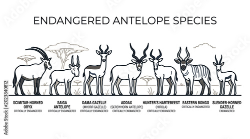 Foto Educational illustration featuring a collection of endangered antelope species